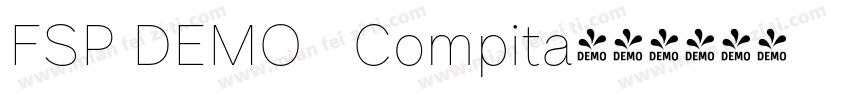 FSP DEMO   Compita字体转换